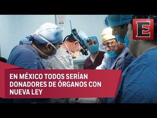 Partido Verde pide regularizar proceso de donación de órganos