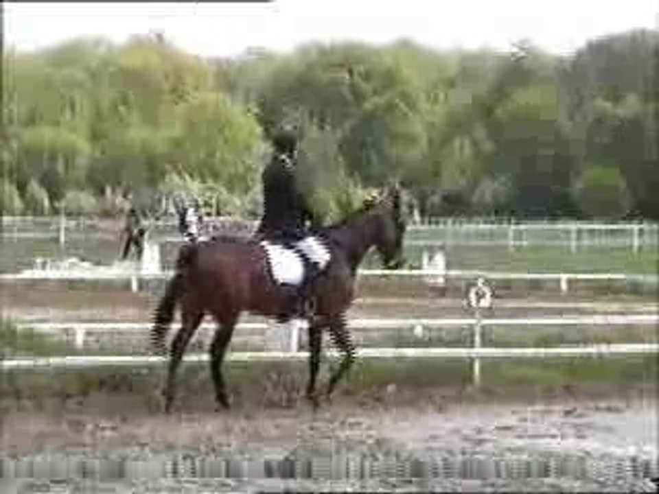 Kipling Dousud et Fabien en dressage