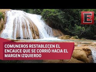 Ejidatarios recuperan afluentes que alimentan las cascadas de Agua Azul