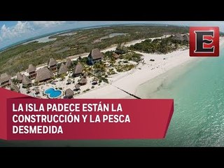 Yum Balam, un área natural protegida donde abundan construcciones