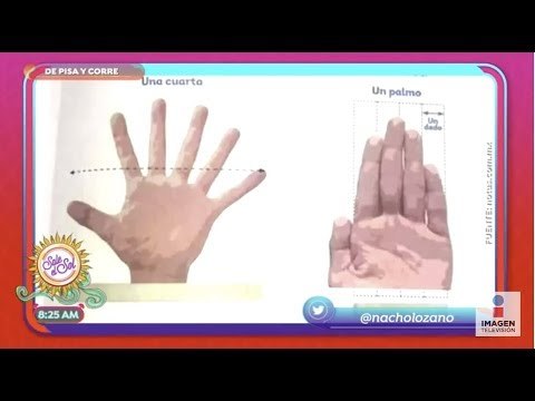 La importancia del lenguaje de señas para apoyar a los sordomudos | Sale el Sol