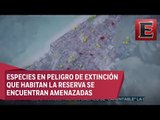 Paraíso en disputa: Construcciones amenazan áreas protegidas de Yum Balam