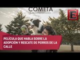 Cometa, él, su perro y su mundo, película mexicana sobre adopción de perros
