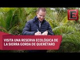 Ricardo Anaya promete una campaña limpia...en el rubro del medio ambiente