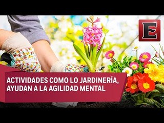 ¿Cómo influye la ciencia en nuestra vida diaria?