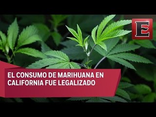 Impacto en México del incremento en la demanda de marihuana en EU