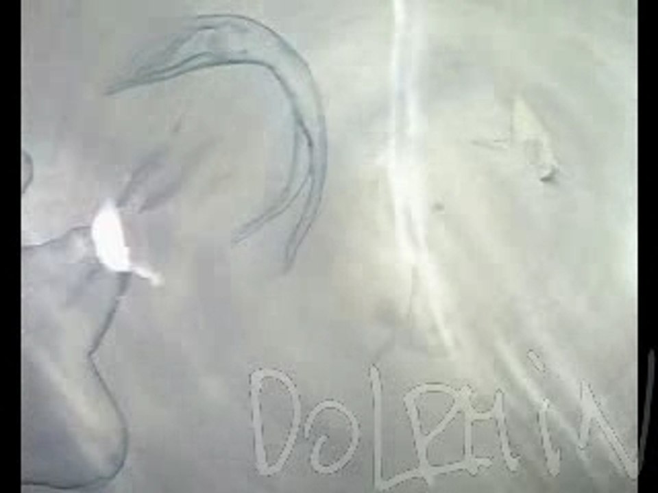 Dolphin - Silver (2005)