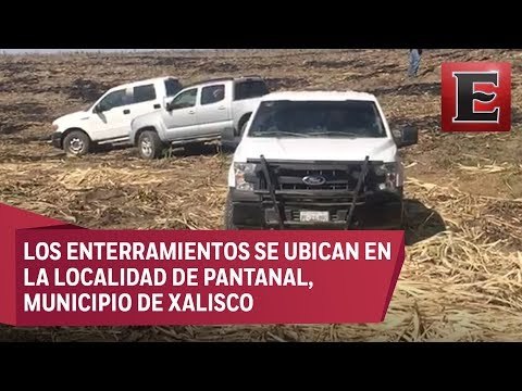 Hallan más de 30 cuerpos en fosas clandestinas en Nayarit