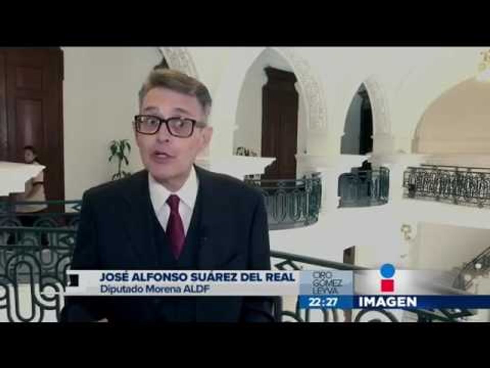 Lobas marinas abandonadas en Chapultepec