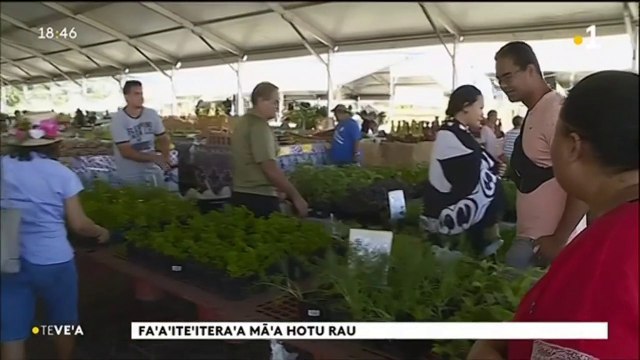 TH : Les plantes aromatiques à la conquête des jardins