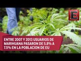 Punto y coma: Marihuana en paraísos turísticos