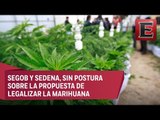 Políticos reaccionan a propuesta de legalizar la marihuana