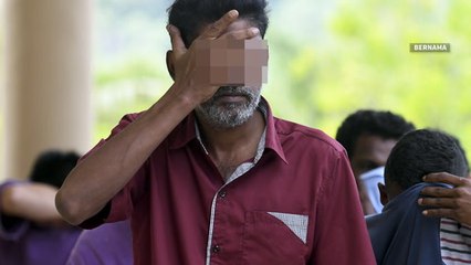 Third suspect remanded for launderette cat killing