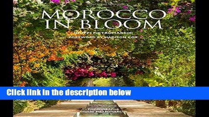 F.R.E.E [D.O.W.N.L.O.A.D] Morocco in Bloom [E.P.U.B]