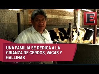 Granja de animales en Azcapotzalco sobrevive a la urbanidad