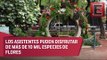 Chapultepec se pone colorido con el Festival de Flores y Jardines