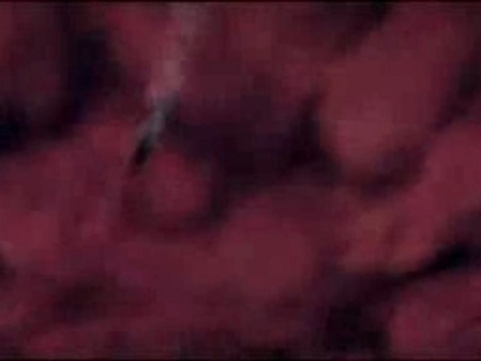 Super_smash_bros._brawl_video_11_-_trailer_anglais_198238