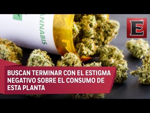 Asociaciones mostrarán en México los beneficios del uso medicinal de la mariguana