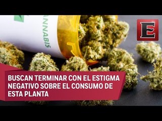 Asociaciones mostrarán en México los beneficios del uso medicinal de la mariguana
