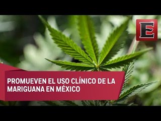 Mariguana podría ser benéfica para el tratamiento de enfermedades