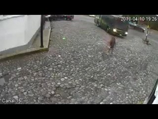 Mujer en Querétaro sobrevive tras ser atropellada por un camión