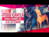 ¡Titán y Akela, héroes caninos del 19 de septiembre! | Sale el Sol