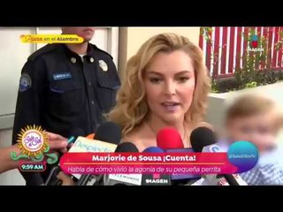 ¡La guerra entre Julián Gil y Marjorie de Sousa sigue! | Sale el Sol