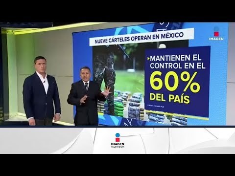¿Qué cártel es cuál? El narco en la actualidad | Imagen Noticias con Francisco Zea