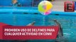 Prohíben espectáculos y terapias con delfines en la CDMX