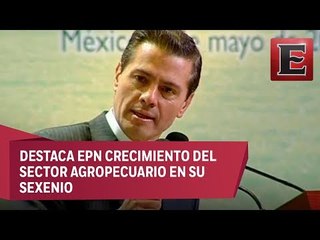Peña Nieto: México es una potencia mundial en materia agroalimentaria