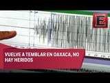 ÚLTIMA HORA: Reportan sismo de 5.0 grados en Oaxaca