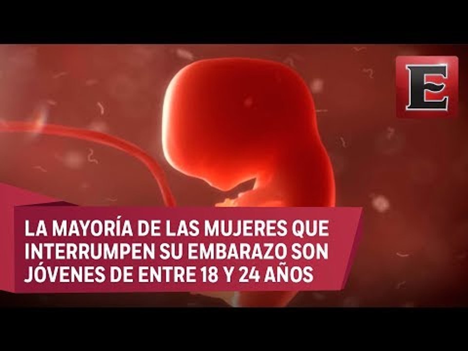 Punto y coma: Aborto