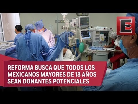 Punto y coma: La donación automática de órganos en México