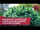Congreso Latinoamericano de Cannabis insiste en fijar postura de los candidatos presidenciales