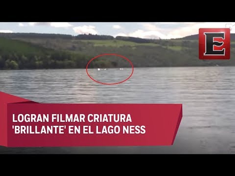 Vídeo muestra criatura extraña en el Lago Ness