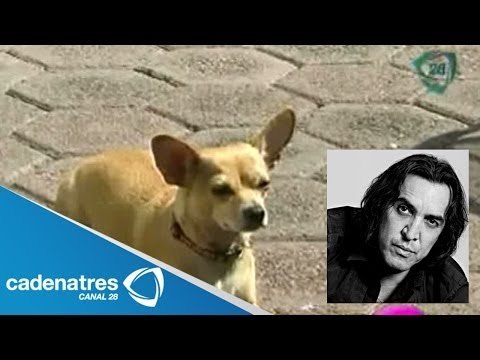 Luis Felipe Tovar presume a su mascota que lo sigue a todas partes