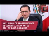 Mauricio Flores: Baja 40% probabilidad de firmar el TLC 2.0