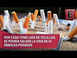 Fabricar papel a partir de colillas de cigarro