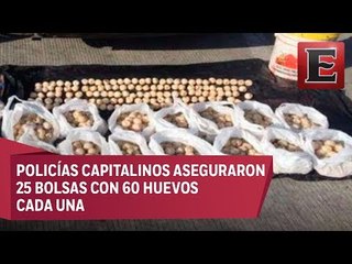 Detienen a mujer por vender huevos de tortuga en Iztapalapa