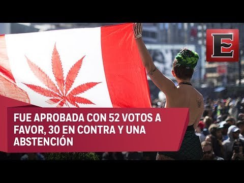 Senado de Canadá aprueba proyecto para legalizar mariguana con fines recreativos
