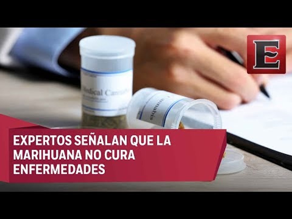 Uso medicinal de la marihuana tiene fines paliativos y no curativos: Hanus