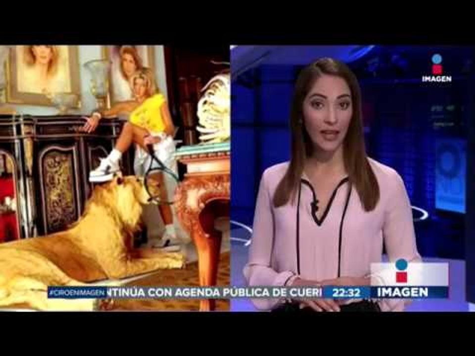 PV quiere prohibir delfines en espectáculos, pero ¿y leones?