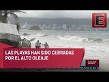Tormenta en Acapulco provoca caída de árboles