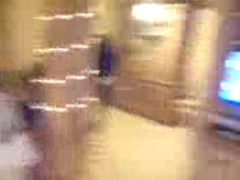 chalet : le loup blanc