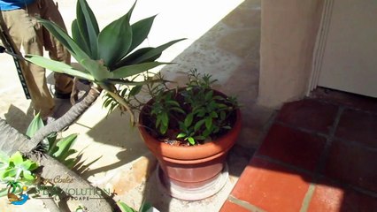 Gardiner Plant Services Santa Barbara