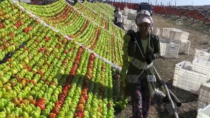 İlçeye 50 milyon lira 'kurutmalık' katkısı - GAZİANTEP