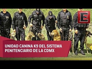 Grupo de 29 perros cuida las cárceles; Unidad K9