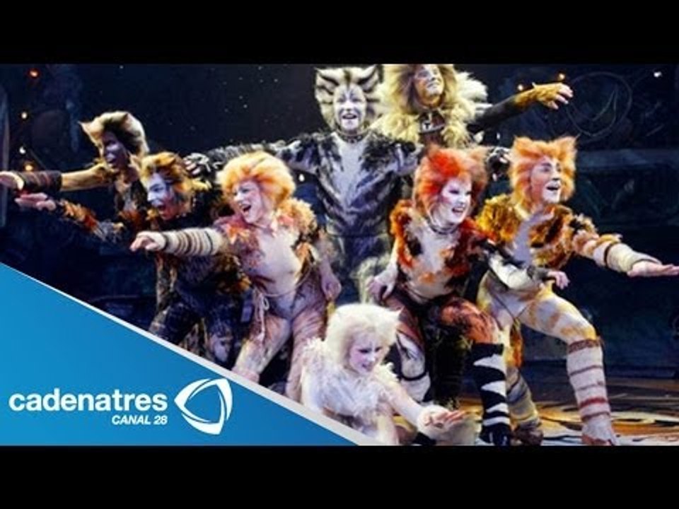 Cats revela placa por 200 representaciones / Cats reveals plate 200 performances