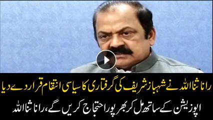 Shehbaz’s arrest a case of political victimization: Rana Sanaullah