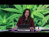 Aprueban uso de marihuana medicinal en Cámara de Diputados